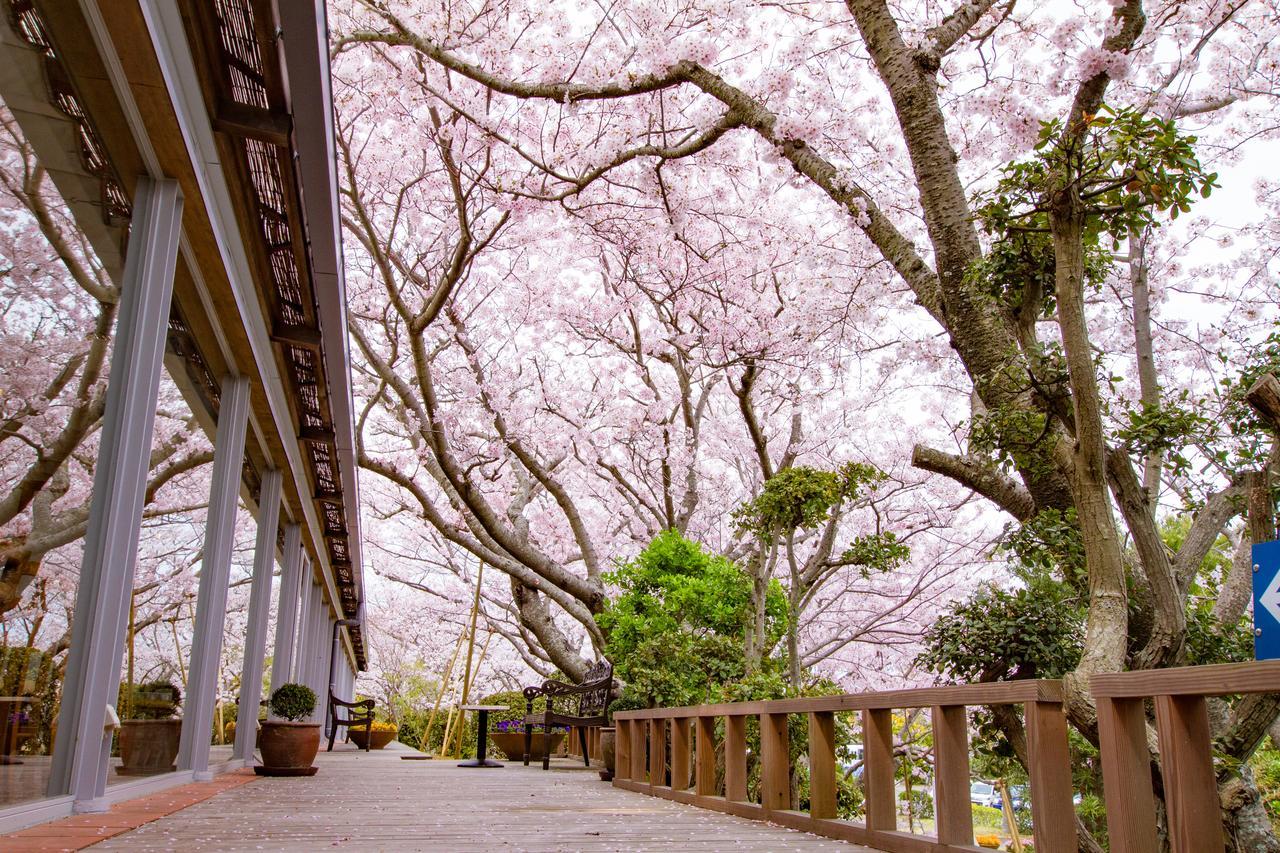 Resort Hotel Moana Coast Naruto  Dış mekan fotoğraf